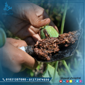 استخدامات الأفيون 