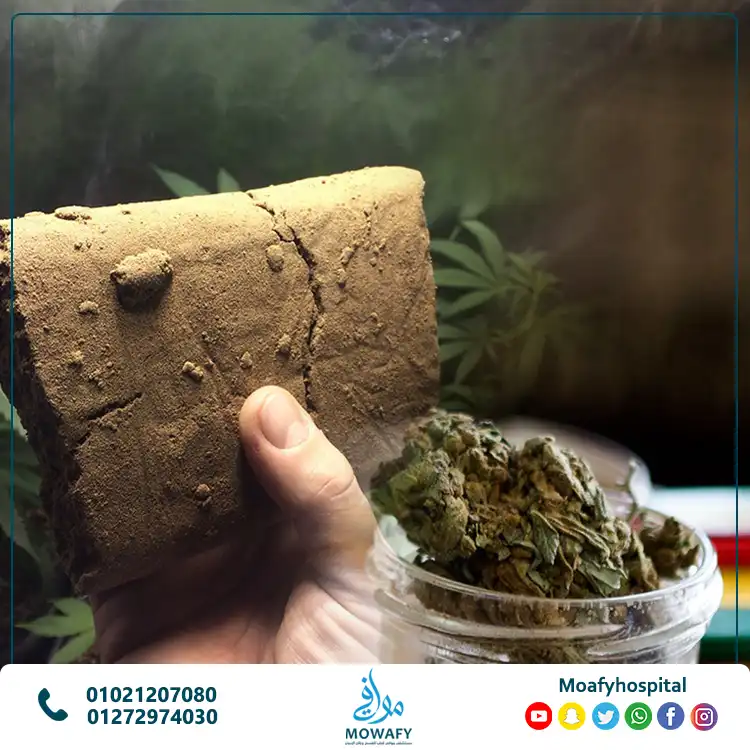 الفرق بين البانجو والحشيش